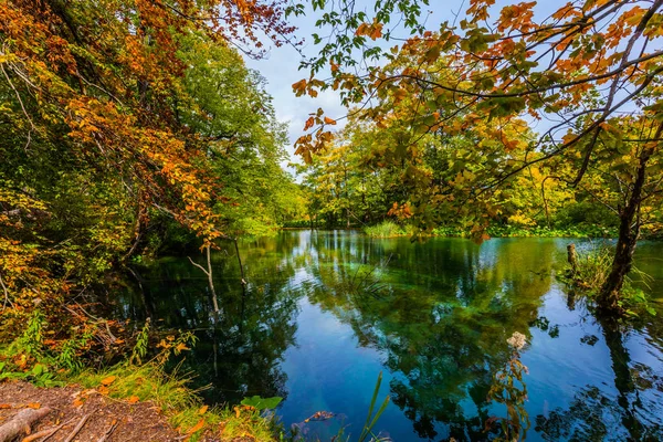 Red leaves of autumn trees — Stock Photo, Image