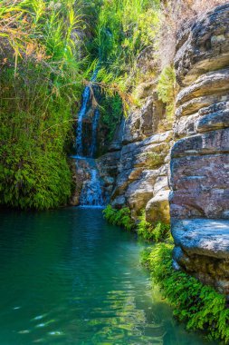 Pitoresk basamaklı şelale