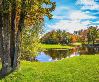 Park fantastik Güzellik
