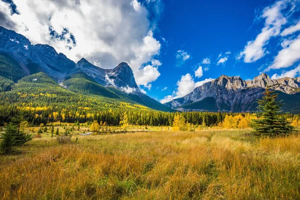 Cime montane — Foto Stock