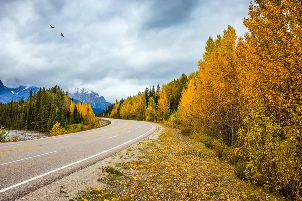 La magnifica "Icefields Parkway " — Foto Stock