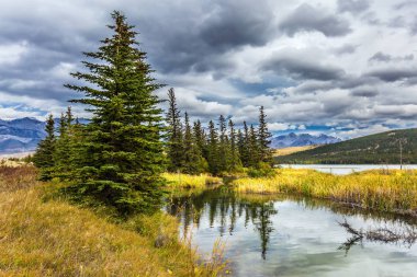 güzel bir bulutlu gökyüzü 
