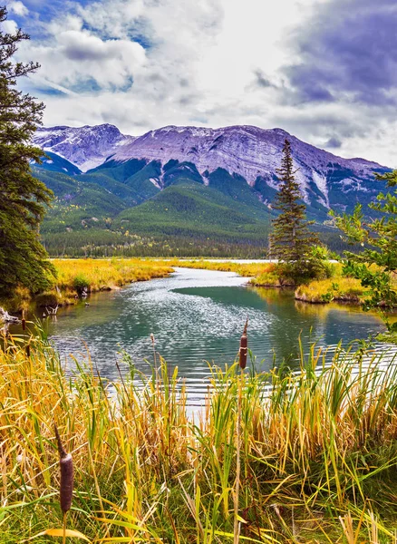 El lago, abetos y montañas — Foto de Stock