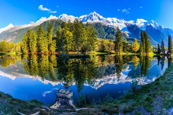 Stump on the shore of the lake — Stock Photo, Image