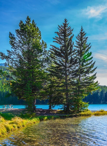 Autunno in Canada — Foto Stock