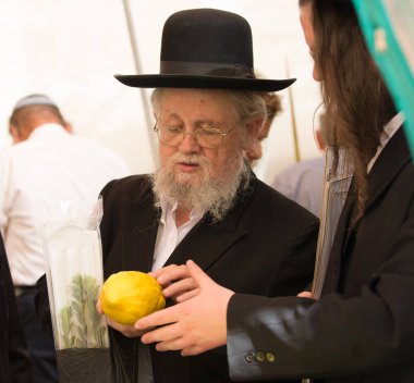 Yaşlı ortodoks Yahudi etrog kontrol ediyor