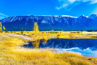  Turkuaz pürüzsüz su 