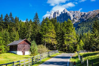 Güzel güneşli sonbahar günü