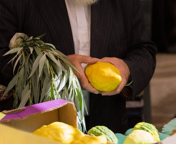 Verkauf von Pflanzen auf dem vorweihnachtlichen Markt — Stockfoto