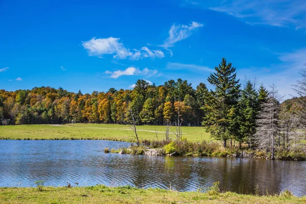 Watergelogde vallei in de Rocky Mountains — Stockfoto