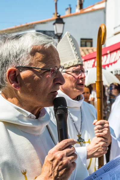 Sacerdotes - participantes de la procesión —  Fotos de Stock