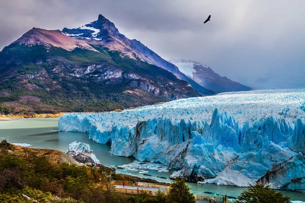 Kolosalny lodowiec Perito Moreno w Patagonii — Zdjęcie stockowe