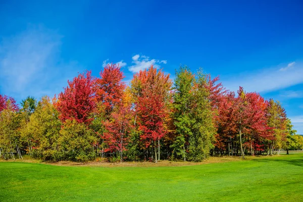 Warm sunny day in suburbs of Montreal — Stock Photo, Image