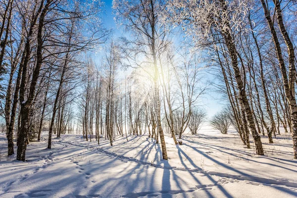 Journée hivernale givrée en Laponie — Photo