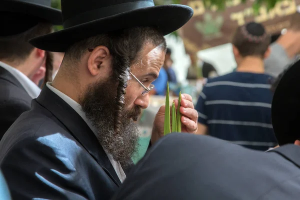 A vallásos zsidó a rituális növényi tenyeret választja. — Stock Fotó