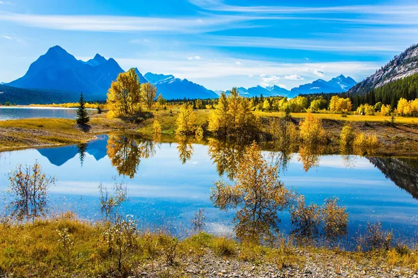 Het kunstmatige Abraham Lake weerspiegelt bomen — Stockfoto