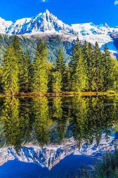 Sjön reflekterade den vintergröna Gran — Stockfoto