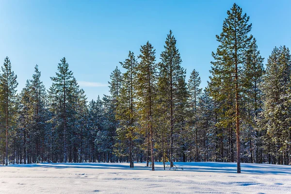 Snö i Lappland — Stockfoto