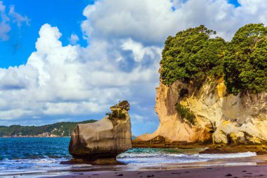 Pasifik kıyısındaki küçük plaj