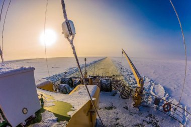 Unutulmaz arktik turist gezisi