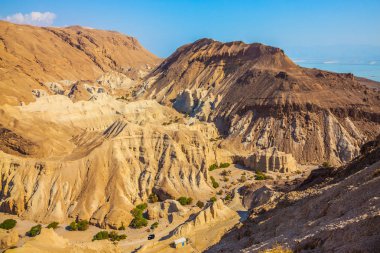 Kanyonda birkaç yeşil ağaçlar 