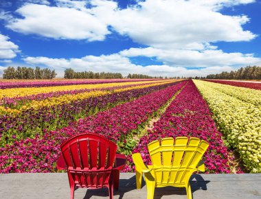  Çok renkli plastik koltuklar 
