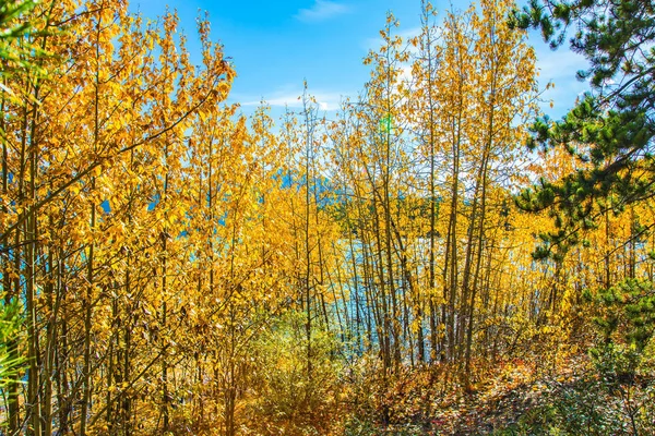 Rocky Mountains in the Indian summer — Stock Photo, Image