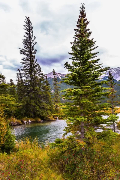 Lacs d'eau peu profonde — Photo