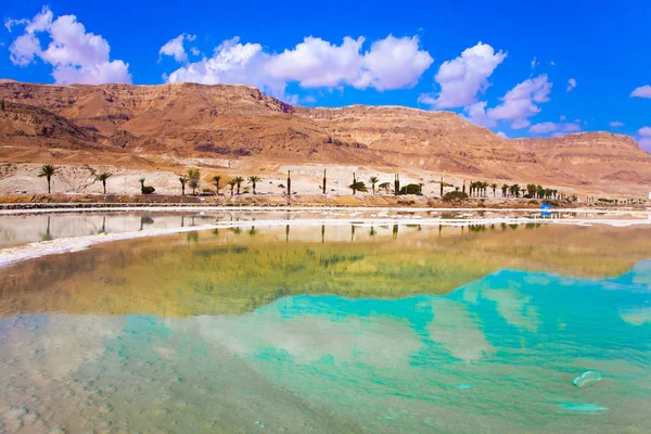 Living Water of the Dead Sea — Stock Photo, Image