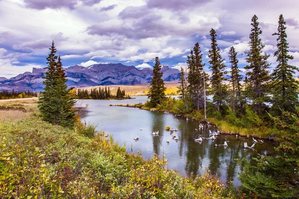 Nuages se reflètent dans l'eau — Photo