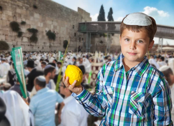 Jewish boy with citrus in his hand — Stock Photo, Image