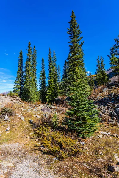 Moraine Gölü çevresinde pitoresk taşlı kıyı — Stok fotoğraf