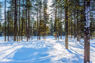 Uzun gölgeler kar sürüklenir çapraz