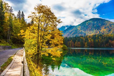  Yeşil suyun pürüzsüz yüzeyi 