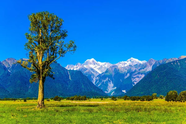 Majestic snow-capped peaks — Stock Photo, Image