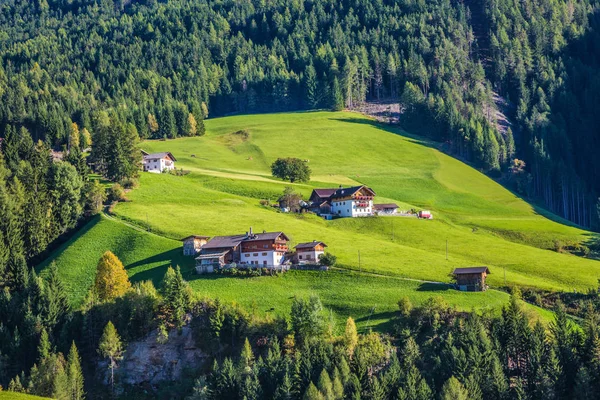 Chalet op een groene helling met gras — Stockfoto