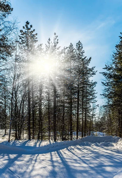 Besneeuwde zonsondergang — Stockfoto