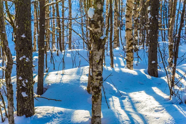 Largas sombras cruzan profundas corrientes de nieve —  Fotos de Stock