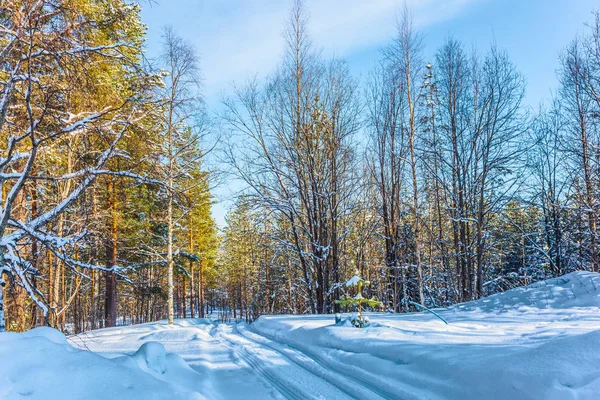 Yol, karla kaplı — Stok fotoğraf
