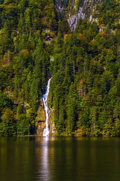 Pittoreska Forest vattenfall — Stockfoto