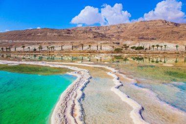Sığ deniz kıyısındaki tuz