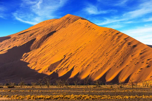 Formas caprichosas de dunas de areia — Fotografia de Stock