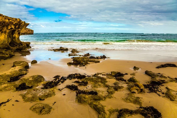 Algas marinhas na pitoresca baía — Fotografia de Stock