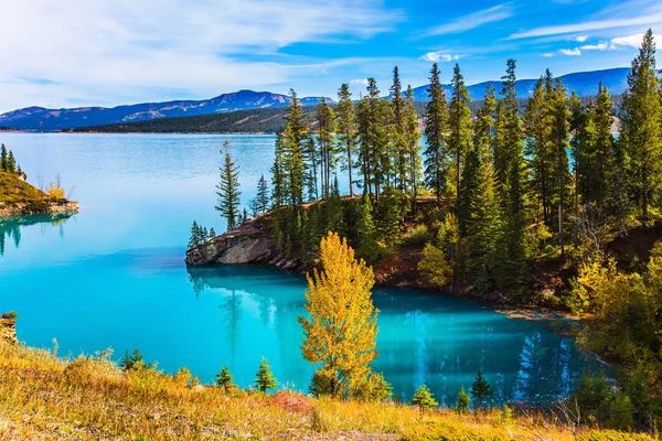 Abraham Lake in de Rockies — Stockfoto