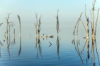Nakuru Gölü'nde gün doğumu