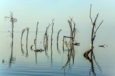 Göl kenarında gündoğumu