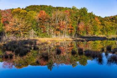 Gölet bir ayna gibi pürüzsüz