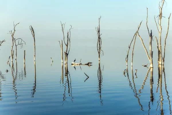 Nakuru Gölü'nde gün doğumu