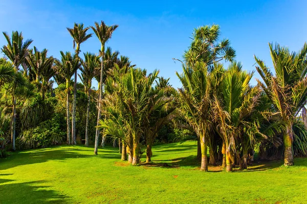 Zuidereiland in Nieuw-Zeeland — Stockfoto