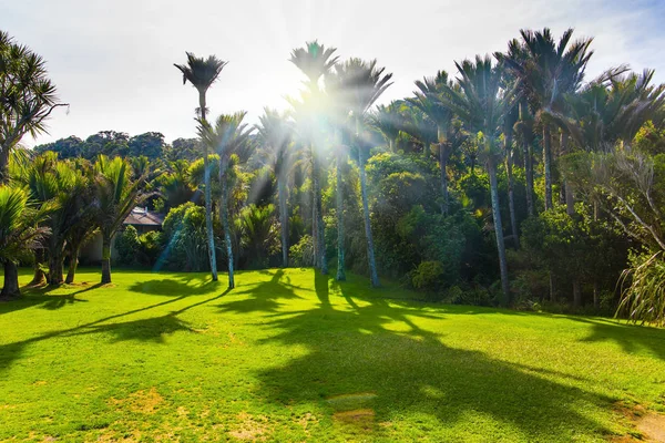 Dia de sol — Fotografia de Stock